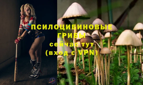 прущий лед Абдулино