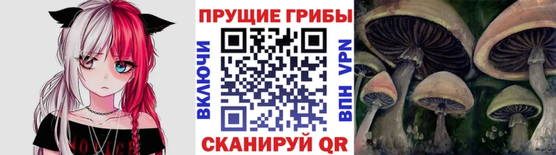 Псилоцибиновые грибы Psilocybe  наркотики  Алейск 